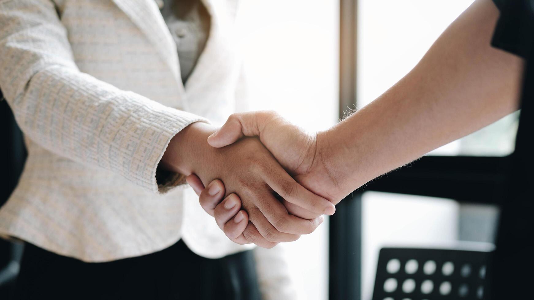 Two Business Professionals Shaking Hands Free Photo 2